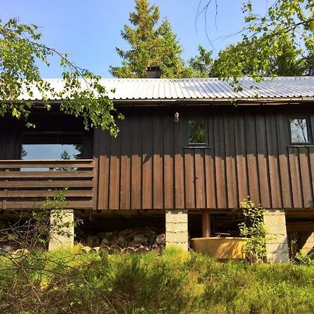 Skogheim Two-Bedroom Cottage Birkeland Ngoại thất bức ảnh