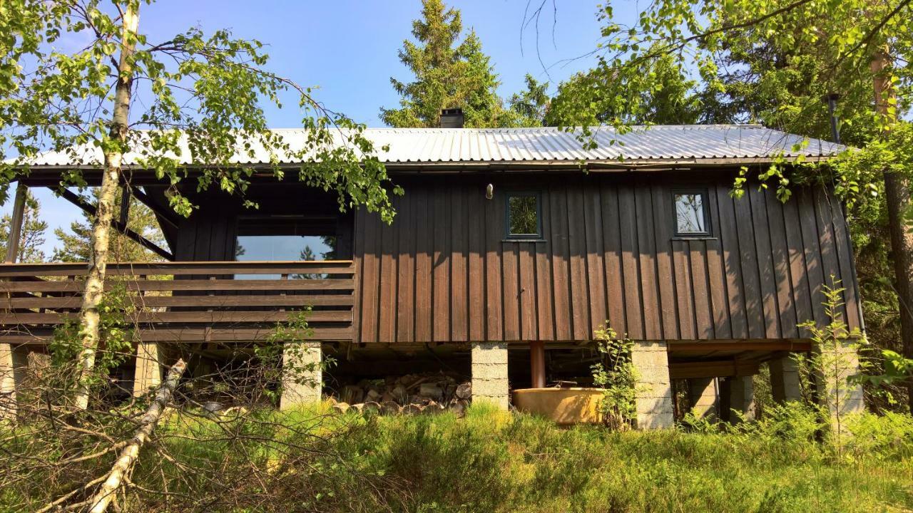 Skogheim Two-Bedroom Cottage Birkeland Ngoại thất bức ảnh